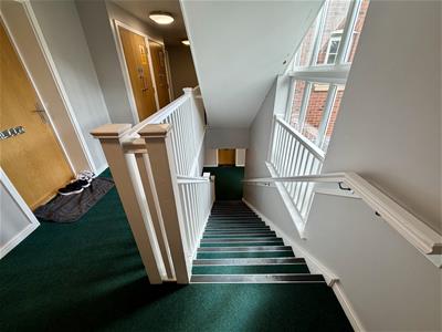 Picture 19